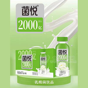 菌悦乳酸菌饮品乳饮料350gx10瓶招商