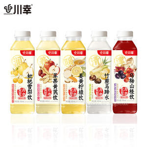 川幸东方草本植物饮料600ml