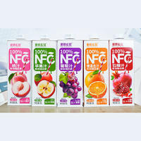 搬砖松鼠无菌冷灌装果汁饮料1L招商