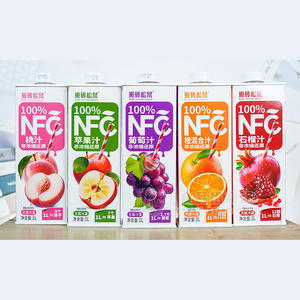 搬砖松鼠无菌冷灌装果汁饮料1L招商