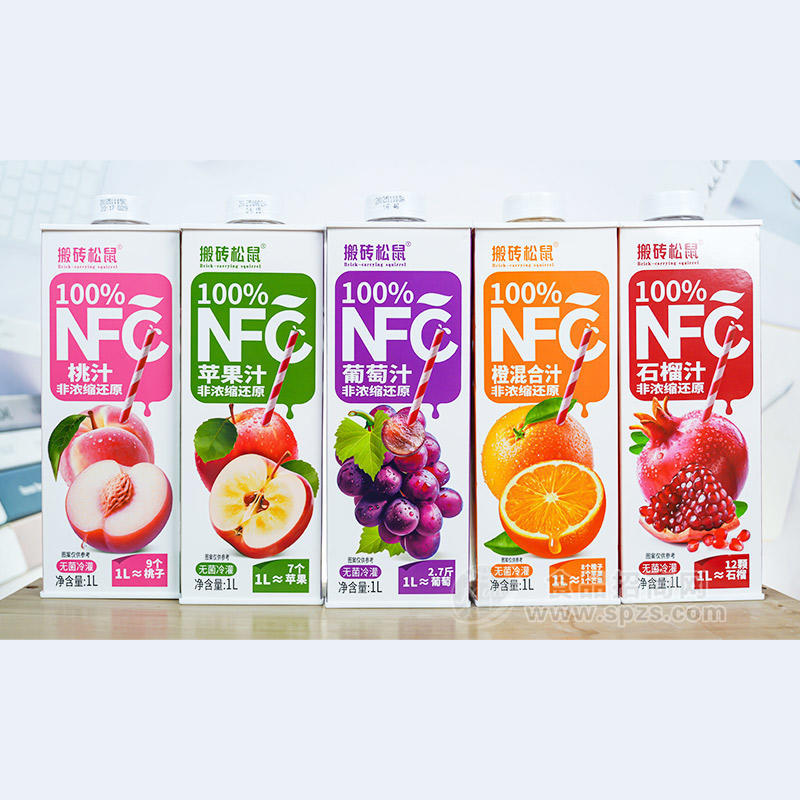 搬砖松鼠无菌冷灌装果汁饮料1L招商