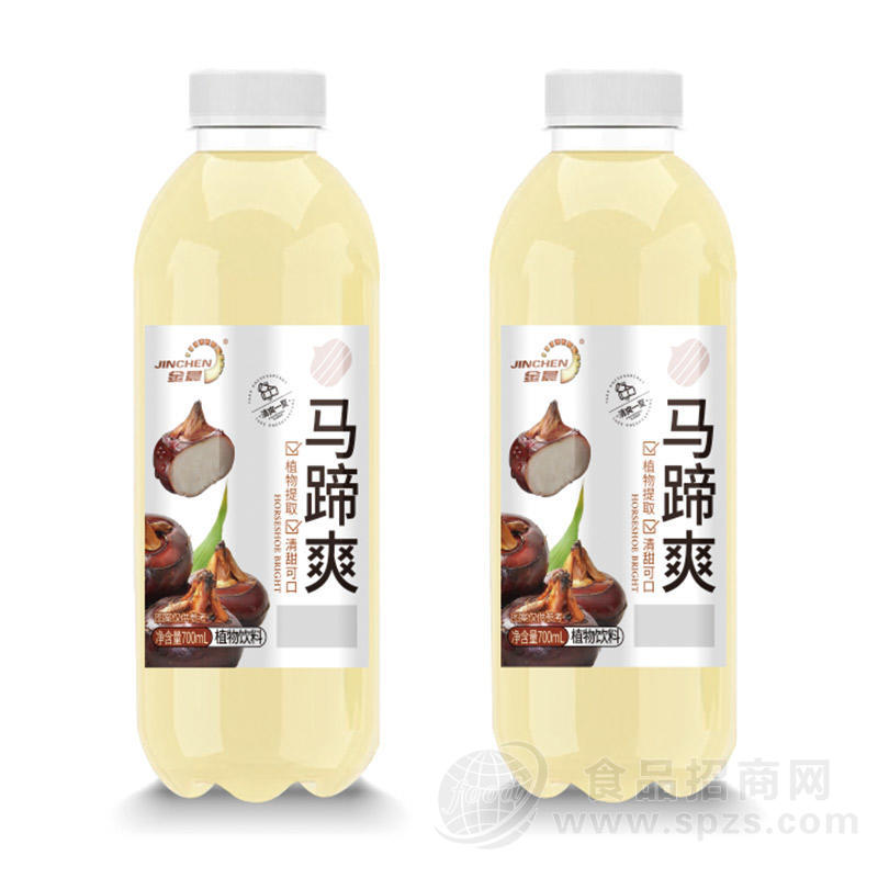 金晨马蹄爽植物饮料700ml