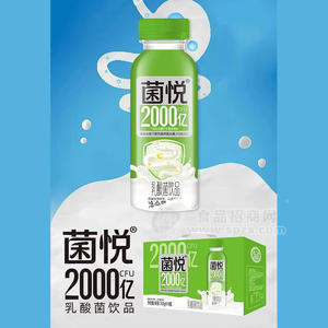 菌悦乳酸菌饮品乳饮料350gx10瓶