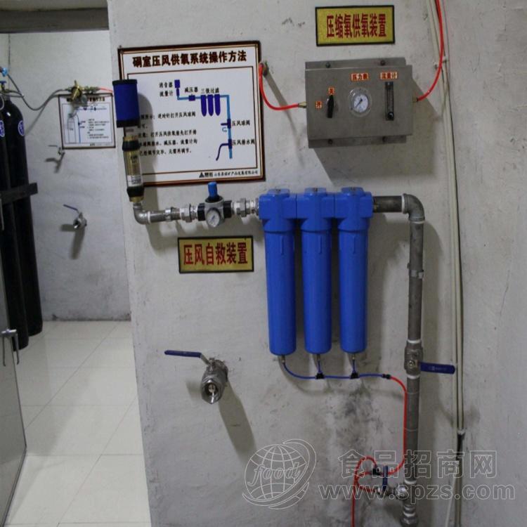 气体过滤器 矿用压风供氧过滤器