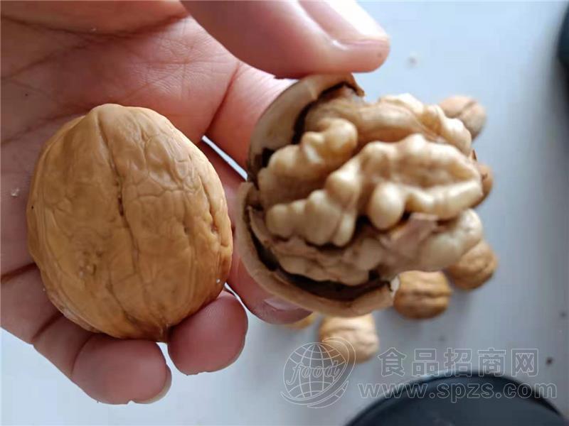 正宗新疆核桃批发价核桃源头供应商联系电话