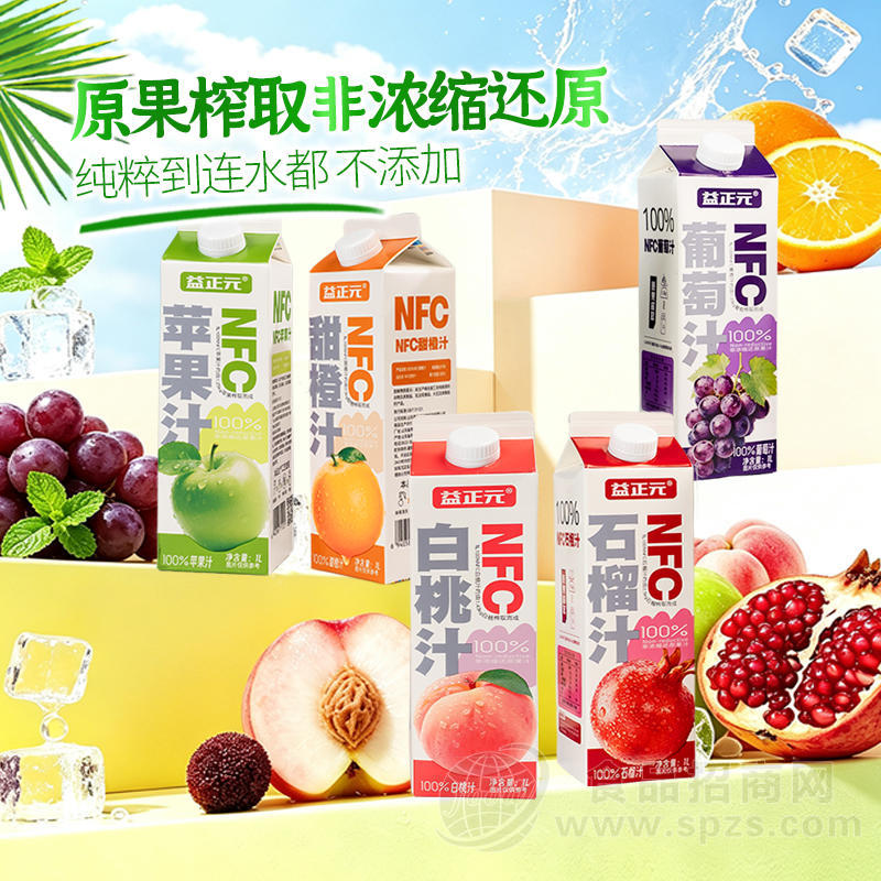 益正元NFC100%果汁饮料1L屋顶盒