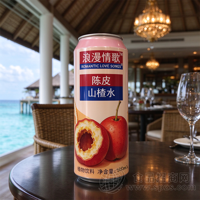 浪漫情歌陈皮山楂水植物饮料500ml