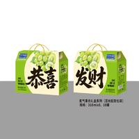氮气果肉礼盒系列果肉葡萄饮料