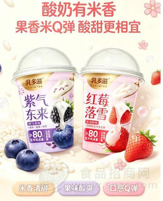 乳此倾心米酿酸奶200g系列（陕西四川，及西部部分省市招商）