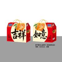 氮气果肉礼盒系列果粒砂糖橘饮料