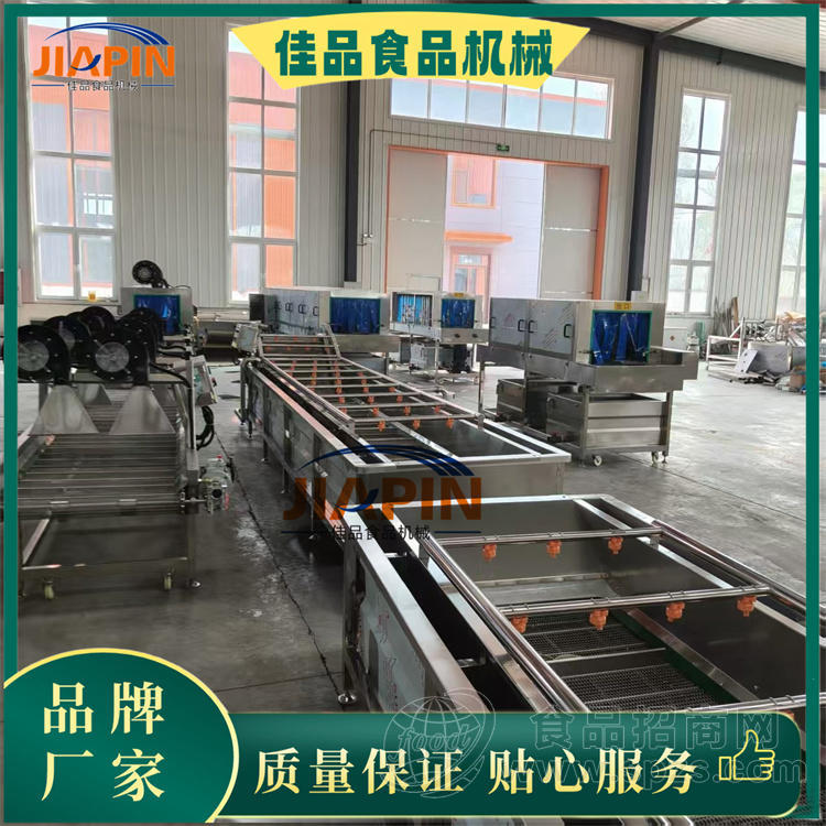 佳品牌果蔬清洗设备，4-5-6-8米水果清洗机制造商