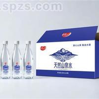 真心天然山泉水500ml