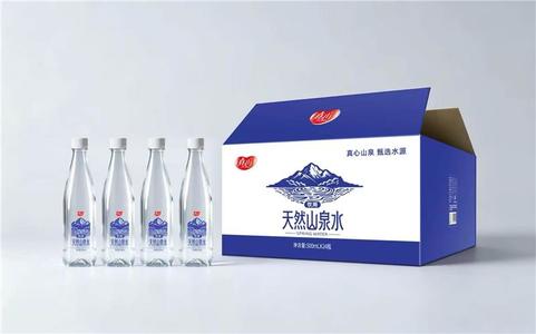 真心天然山泉水500ml