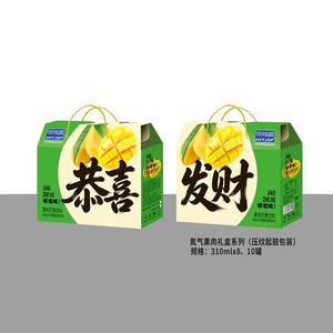 氮气果肉礼盒系列果肉芒果饮料
