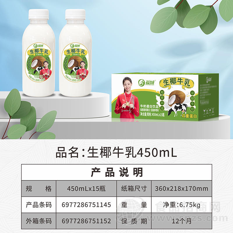 益城生椰牛乳牛奶蛋白饮品饮料450mlx15瓶