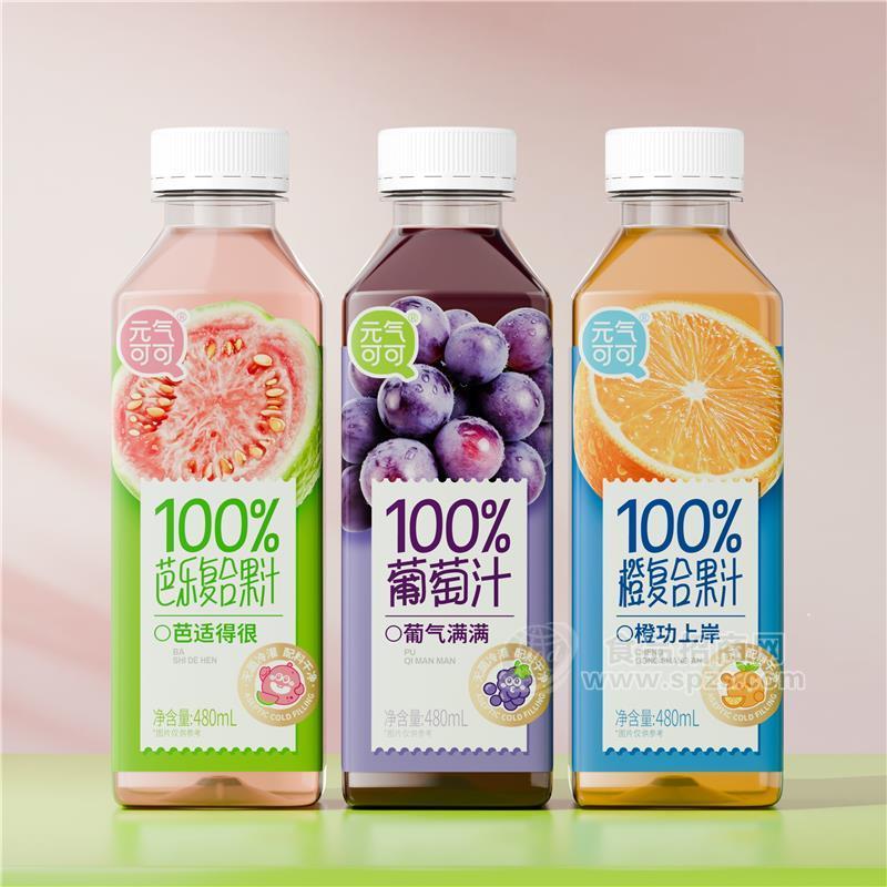 元气可可100%复合果汁饮料480ml果汁芭乐汁葡萄汁橙汁