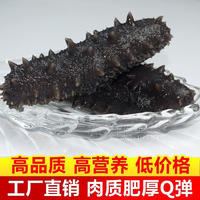 即食海参 海参厂家手续齐全贴牌定制烧烤海参串串一件代发电商货