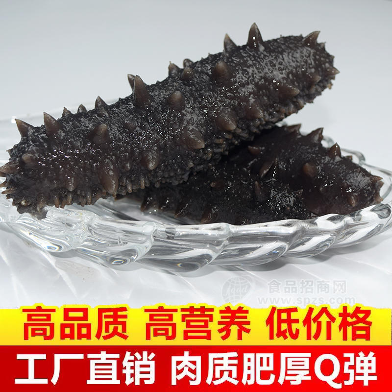 即食海参 海参厂家手续齐全贴牌定制烧烤海参串串一件代发电商货