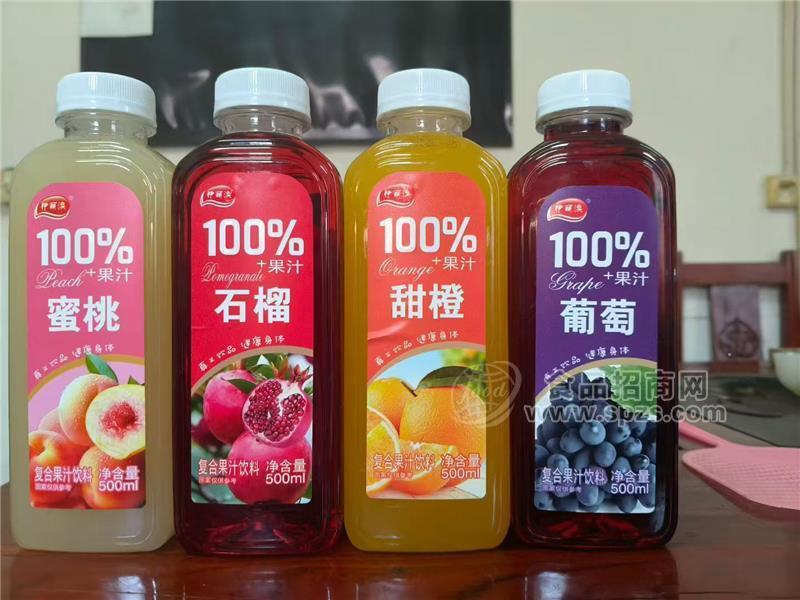伊丽澳复合果汁饮料500ml