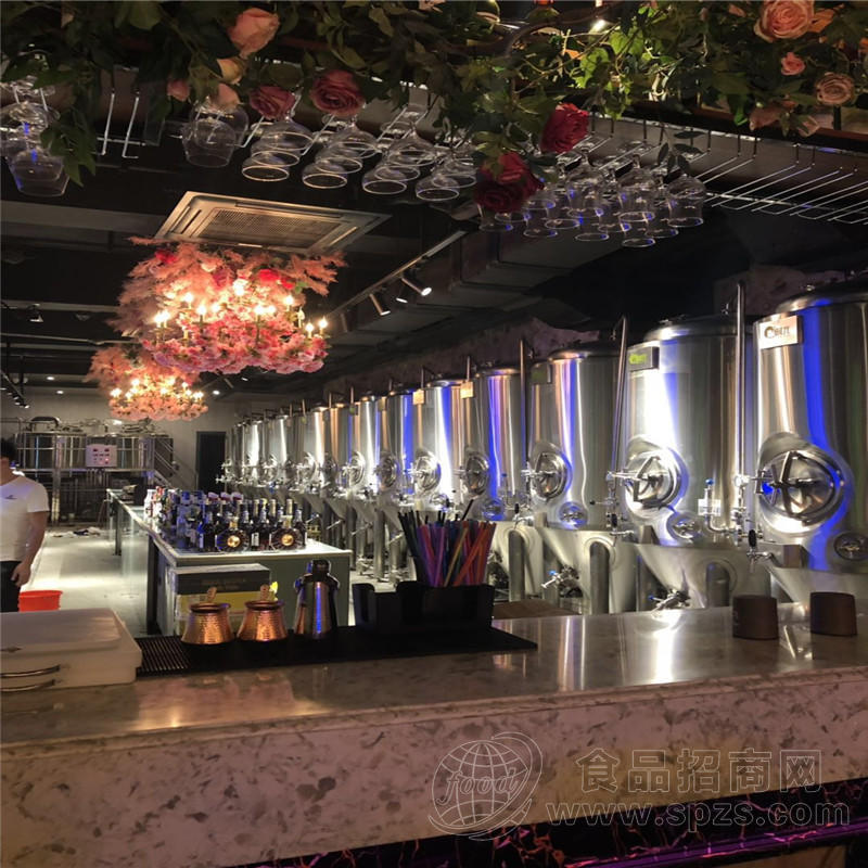 300L精酿酿酒设备 厂家直供可定制