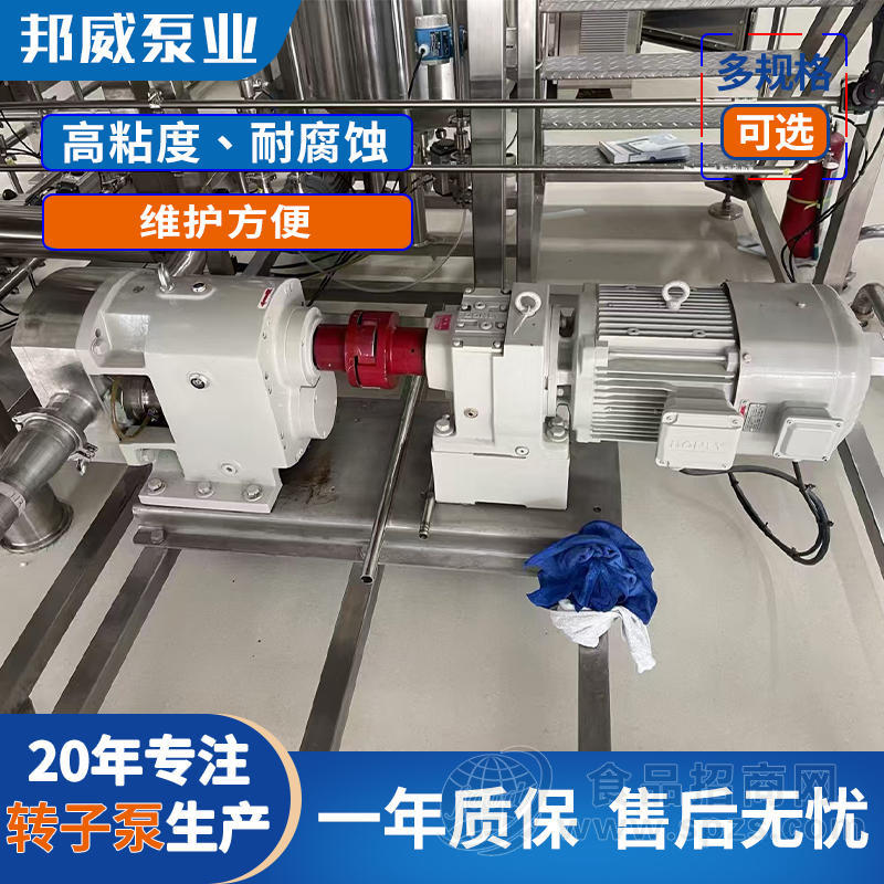 卫生型不锈钢凸轮转子泵