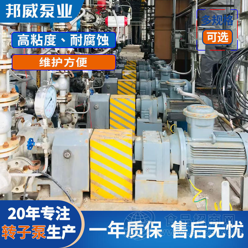 专业高效液体输送泵 宁波邦威不锈钢凸轮双转子泵 高质量高粘度泵