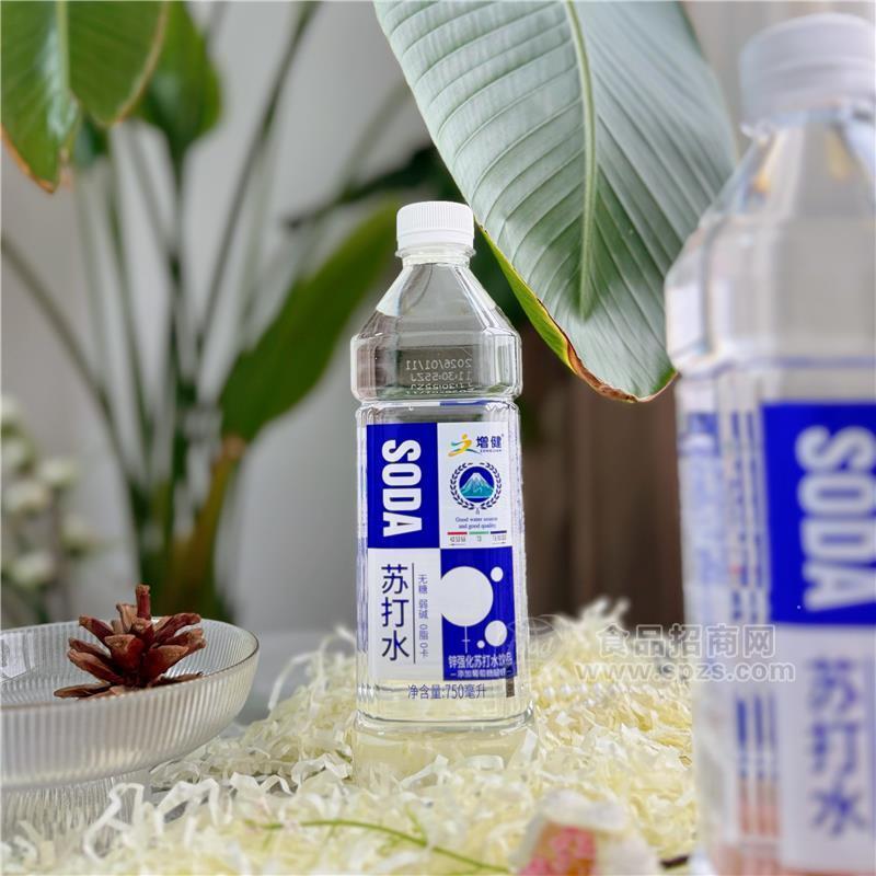 增健锌强化苏打水饮品750ml