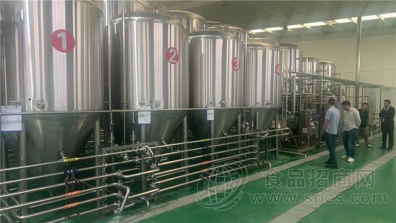 大型精酿厂定制方案 全自动化量产  精酿啤酒厂建厂方案