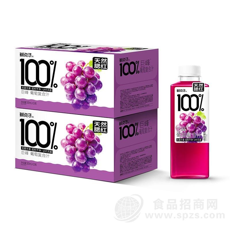 鲜点子100%巨峰葡萄复合果汁饮料500mlx15瓶