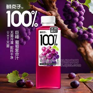 鲜点子巨峰葡萄复合果汁饮料500ml