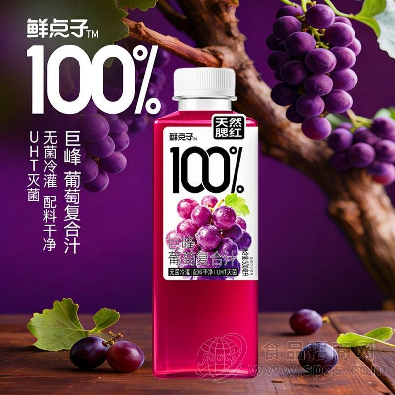 鲜点子巨峰葡萄复合果汁饮料500ml