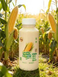 益植炫玉米发酵植物乳品植物蛋白饮料塑料瓶300ml
