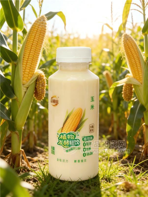 益植炫玉米发酵植物乳品植物蛋白饮料塑料瓶300ml