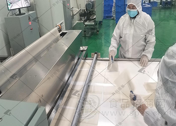 丽星机械全自动鲜湿粉生产线 耐煮不浑汤 适合规模化加工