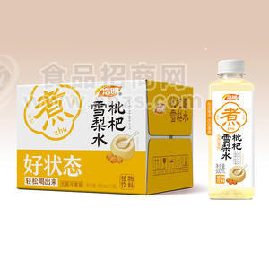 浩明枇杷雪梨水植物饮料500mlx15瓶