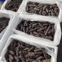 即食海参4至50头电商货源社区团购支持定制贴一件代发资质齐全