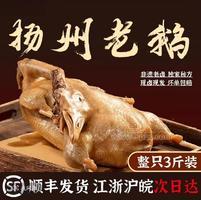 扬州卤鹅3斤整只装