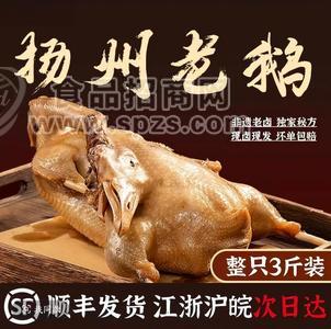 扬州卤鹅3斤整只装