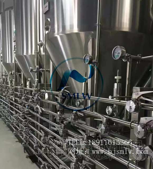 年产20吨精酿啤酒厂 史密力维为您打造高性价比创业方案