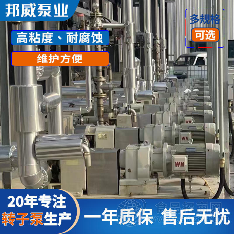 邦威化工耐腐蚀转子泵 变频调速高粘度物料输送不锈钢转子泵厂家