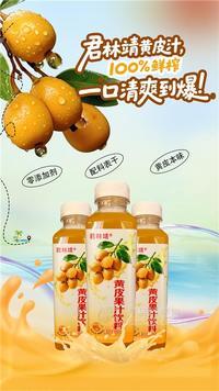 君林靖黄皮汁100果汁饮料