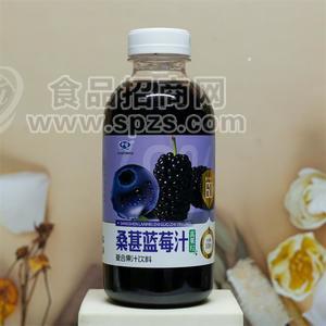 中博桑葚蓝莓汁复合果汁饮料500ml