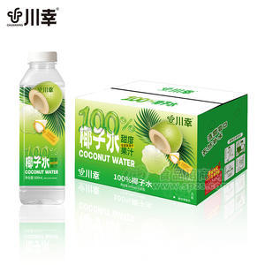 川幸100%椰子水果汁饮料600mlx15瓶