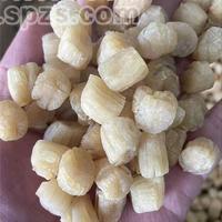 干贝瑶柱扇贝肉海产品干货