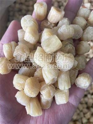 干贝瑶柱扇贝肉海产品干货