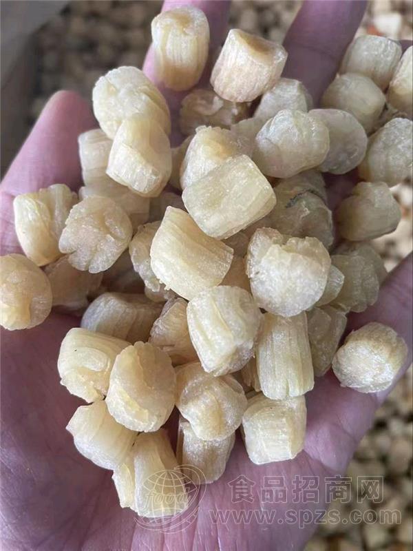 干贝瑶柱扇贝肉海产品干货