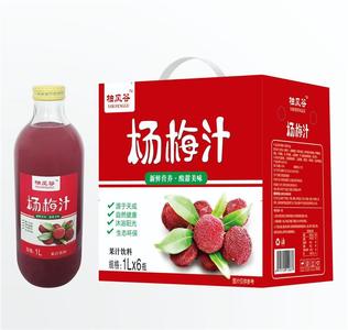 椰冈谷杨梅汁果汁饮料1L