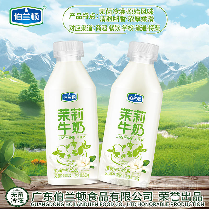 伯兰顿无菌冷灌装茉莉牛奶饮品500g
