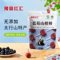 豫园红汇蓝莓山楂棒山楂制品