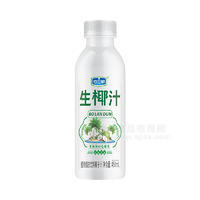 伯兰顿生椰汁椰子汁植物蛋白饮料招商450ml